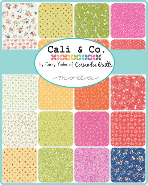 Cali & Co. Layer Cake 10-inch Precut Fabric Squares by Corey Yoder for Moda Fabrics (42 pcs)